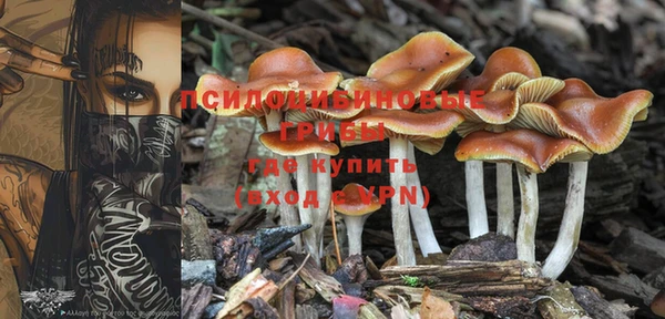 винт Армянск