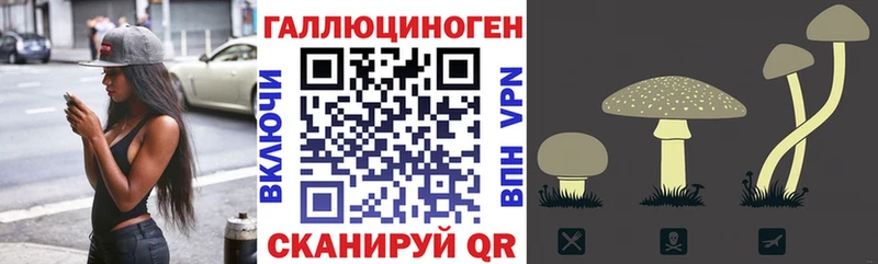 mega сайт Полярный Галлюциногенные грибы ЛСД цена